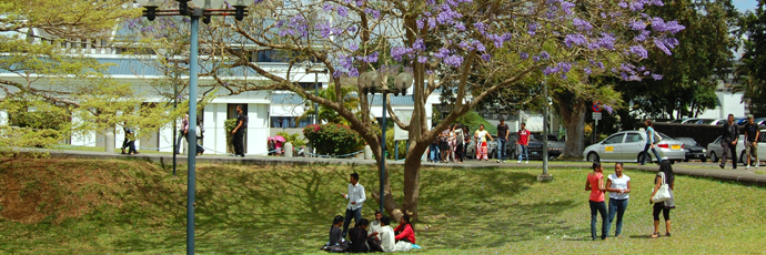 University of Mauritius campus