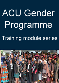 Gender Programme training modules 1-3: Management development for women in higher education, Volume I