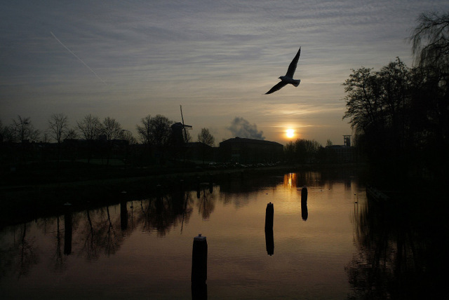 JANUARI%202006%20OUDE%20IJSSEL%20DOETINCHEM%20kopie.jpg