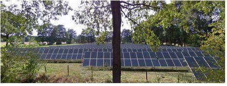 zonnepanelen op een rij op een stuk grond omgeven door bomen en beplanting