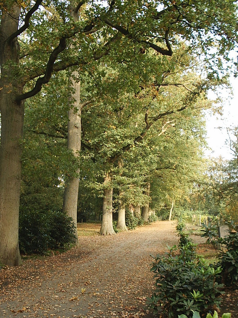 Begraafplaats Roeterdsweg Diepenveen