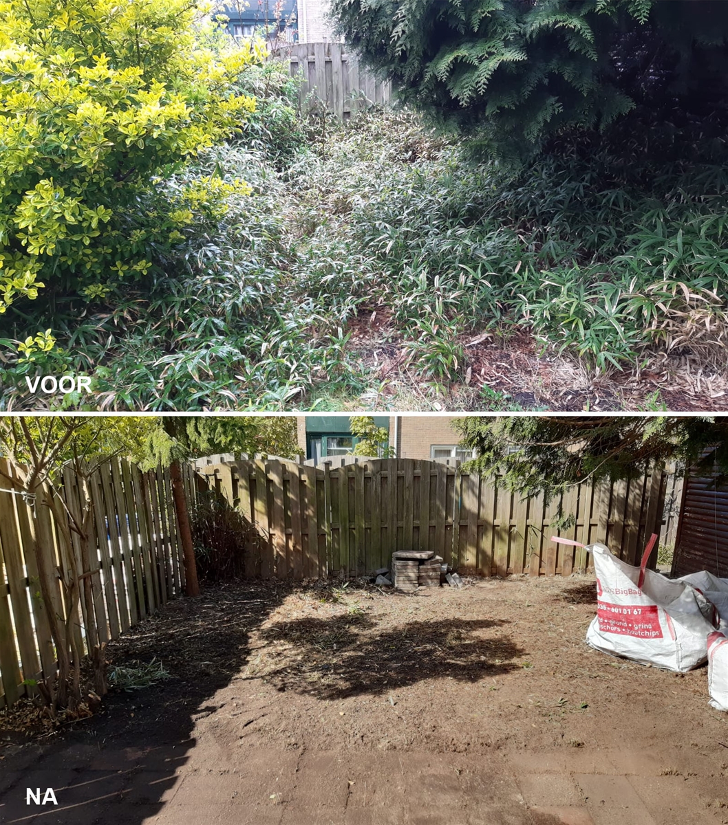 Twee foto's, boven een verwilderde tuin, eronder dezelfde tuin na de opknapbeurt