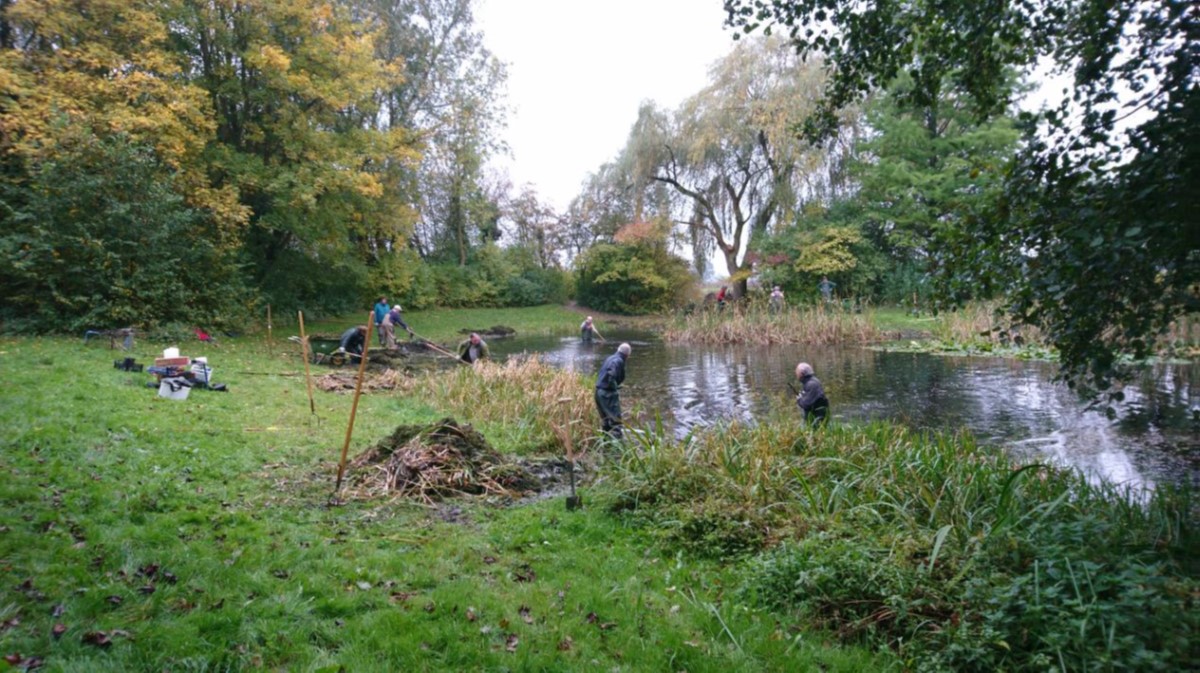 Poelenwerkgroep Zeist op 24 oktober 2020 aan de slag bij poel Kouwenhoven