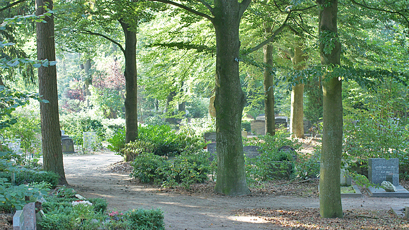 parklandschap begraafplaats in de zomer