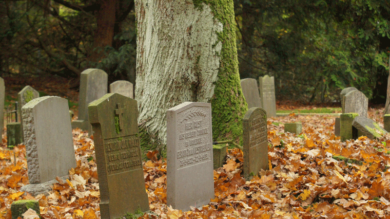 oude grafstenen tussen herfstbladeren