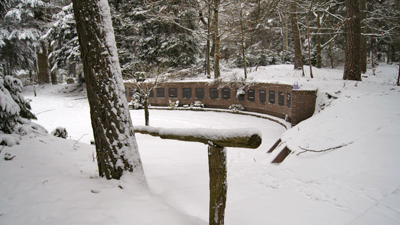 urnentuin in wintertijd onder de sneeuw
