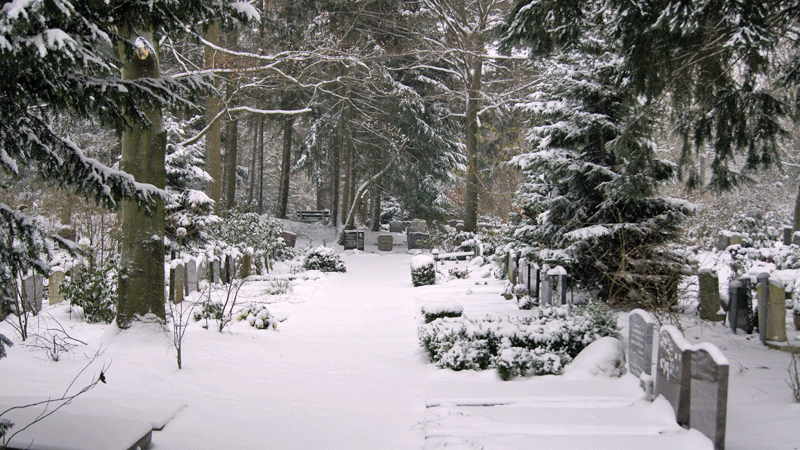 grafstenen in de winter onder de sneeuw