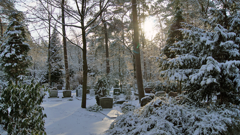 grafstenen in de winter in de sneeuw